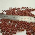 2017crop feijão Adzuki pequeno feijão vermelho 4.5mm-6.0mm nome científico de feijão